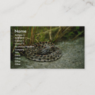 Carte De Visite Pigeon Rattlesnake