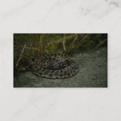 Carte De Visite Pigeon Rattlesnake (Dos)