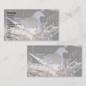 Carte De Visite Pigeon vert (Devant / Derrière)