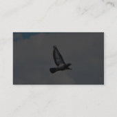 Carte De Visite Pigeon Volant Sur Le Ciel (Dos)