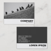 Carte De Visite Pigeons sur un toit (Devant / Derrière)