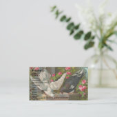 Carte De Visite Pigeons Vintages (Debout devant)