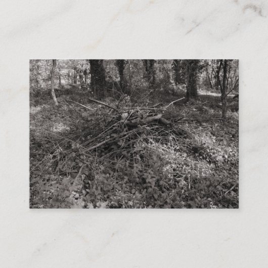 Carte De Visite Pile de bâtonnets (Devant)