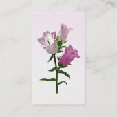 Carte De Visite Pink Canterbury Bells (Dos)