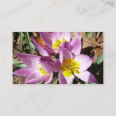 Carte De Visite Pink Crocuses Spring Floral (Dos)