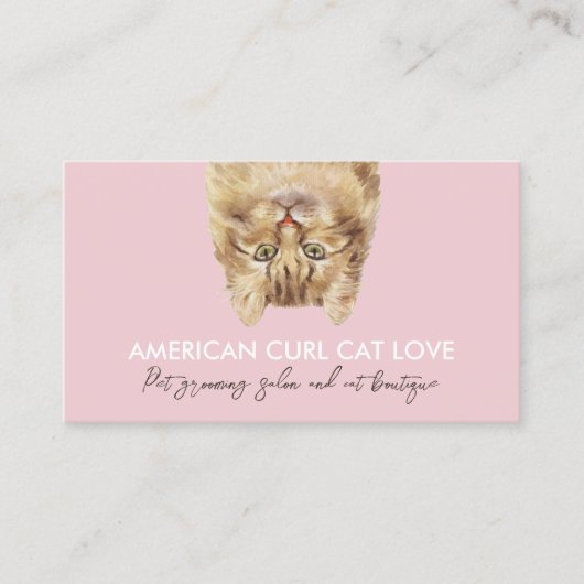 Carte De Visite Pink Funky Animal Sitter American Curl Chat (Devant)