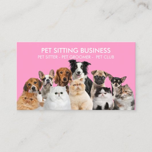Carte De Visite Pink Home Chiens de compagnie Chats (Devant)