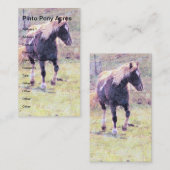 Carte De Visite Pinto Pony (Devant / Derrière)