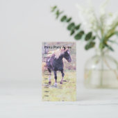 Carte De Visite Pinto Pony (Debout devant)