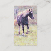 Carte De Visite Pinto Pony (Dos)