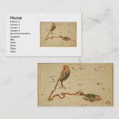 Carte de visite Pisces (Devant / Derrière)