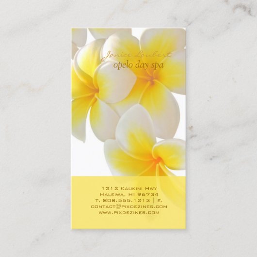 Carte De Visite Pix-Dezines Plumeria d'Hawaï (Devant)