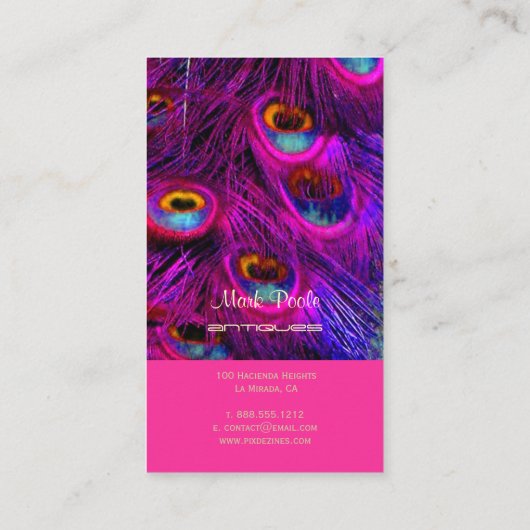 CARTE DE VISITE PIXDEZINES PEACOCK FEACOCK/CHAUD ROSE (Dos)