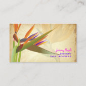 Carte De Visite PixDezines vintage oiseau de paradis  (Devant)