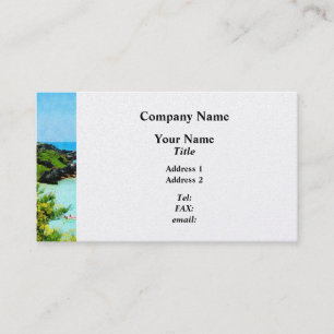 Carte De Visite Plage à St. George Bermudes - Platine