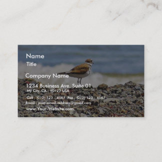 Carte De Visite Plages d'Oiseaux Oceans