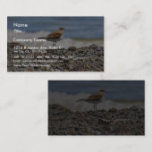 Carte De Visite Plages d'Oiseaux Oceans (Devant / Derrière)