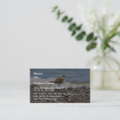 Carte De Visite Plages d'Oiseaux Oceans (Debout devant)