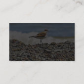 Carte De Visite Plages d'Oiseaux Oceans (Dos)