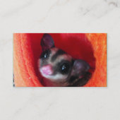 Carte De Visite Planeur à sucre en Orange Hanging Lit (Devant)