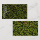 Carte De Visite Plante grimpante de Virginie unique (Devant / Derrière)
