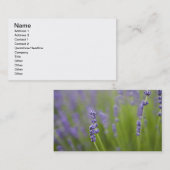 Carte De Visite Plantes de lavande 2 (Devant / Derrière)