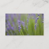 Carte De Visite Plantes de lavande 2 (Dos)