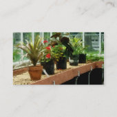 Carte De Visite Plantes en serre (Dos)