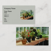 Carte De Visite Plantes en serre (Devant / Derrière)