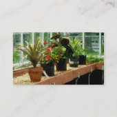 Carte De Visite Plantes en serre (Dos)