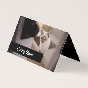 Carte de visite pliée personnalisable pour chatter