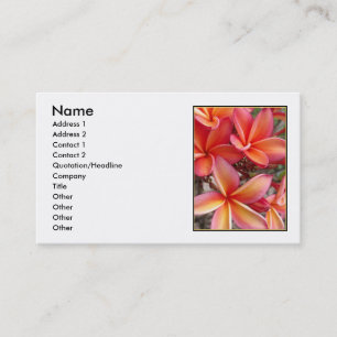 Carte De Visite Plumeria hawaïen