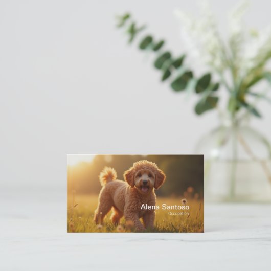 Carte De Visite Poddle Chien (Debout devant)