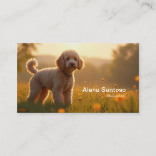 Carte De Visite Poddle Chien