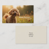 Carte De Visite Poddle Chien (Devant / Derrière)