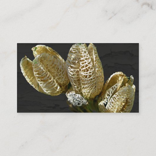 Carte De Visite Pods de graines de Lily séchés (Dos)