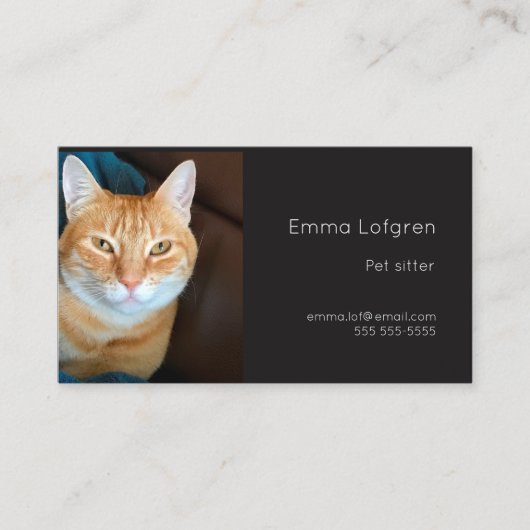 Carte De Visite Poignée de chat orange (Devant)