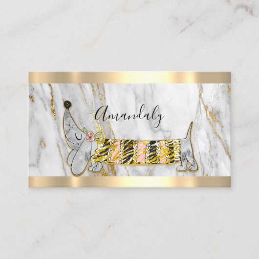 Carte De Visite Poignée professionnelle Soins pour animaux de comp (Devant)