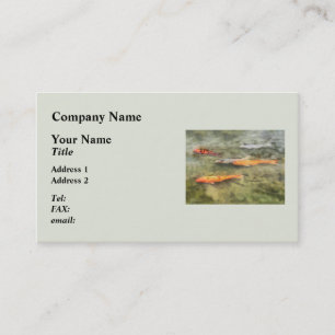 Carte De Visite Poisson - Banc de carpes koï :