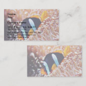 Carte De Visite Poisson clown Poisson tropical (Devant / Derrière)