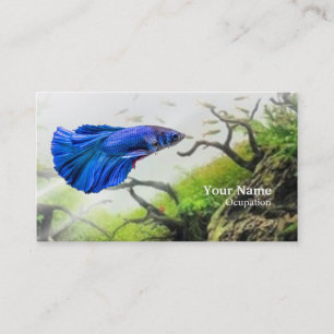 Carte De Visite Poisson combattant