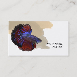 Carte De Visite Poisson combattant