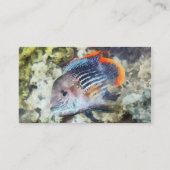 Carte De Visite Poisson - Poisson arc-en-ciel (Dos)