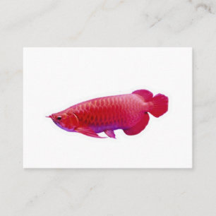 Carte De Visite Poisson rouge superbe Arowana Dragon chanceux Stic