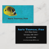 Carte De Visite Poisson tropical (Devant / Derrière)