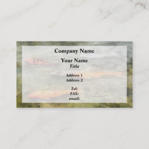 Carte De Visite Poissons - Banc de carpes koï: