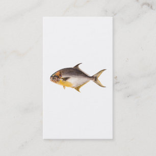 Carte De Visite Poissons vintages de Pompano - le jeu pêche le