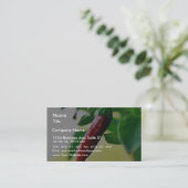 Carte De Visite Poivrons de piments de piment (Debout devant)