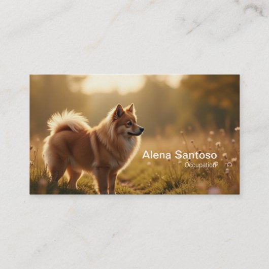 Carte De Visite Pomeranian Dog (Devant)