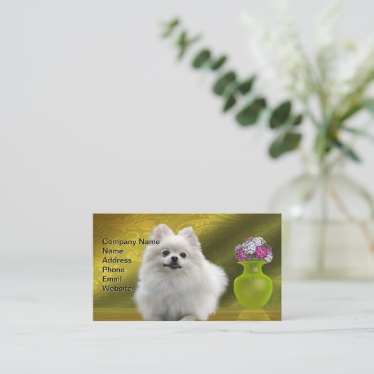 Carte De Visite Pomeranian Dog (Debout devant)